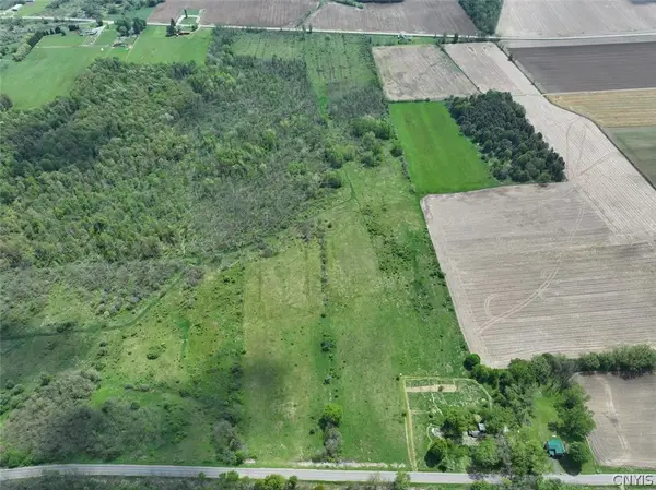 Dye Road, South Dayton, NY 14138