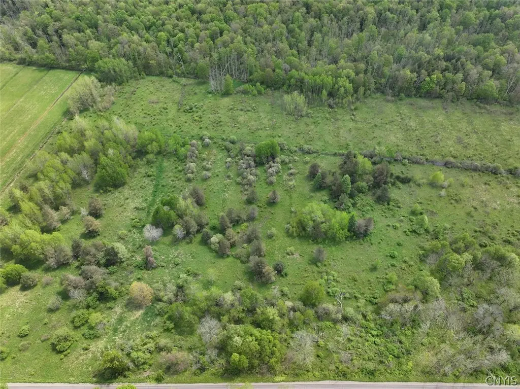 Dye Road, South Dayton, NY 14138 - #1