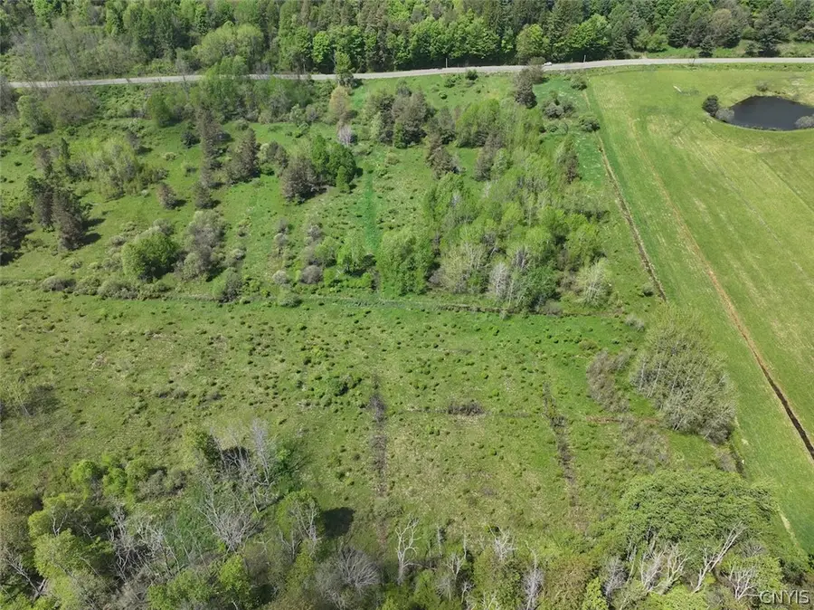 Dye Road, South Dayton, NY 14138 - #3