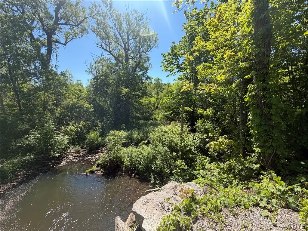 Townline Road, Marcellus, NY 13108 - #1