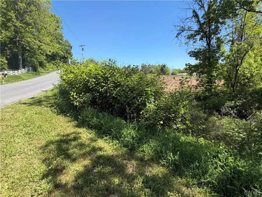 Townline Road, Marcellus, NY 13108 - #3