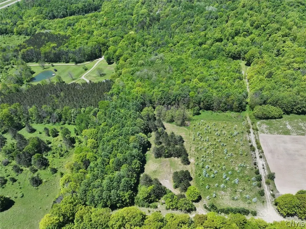 N Branch Road, Friendship, NY 14739 - #1