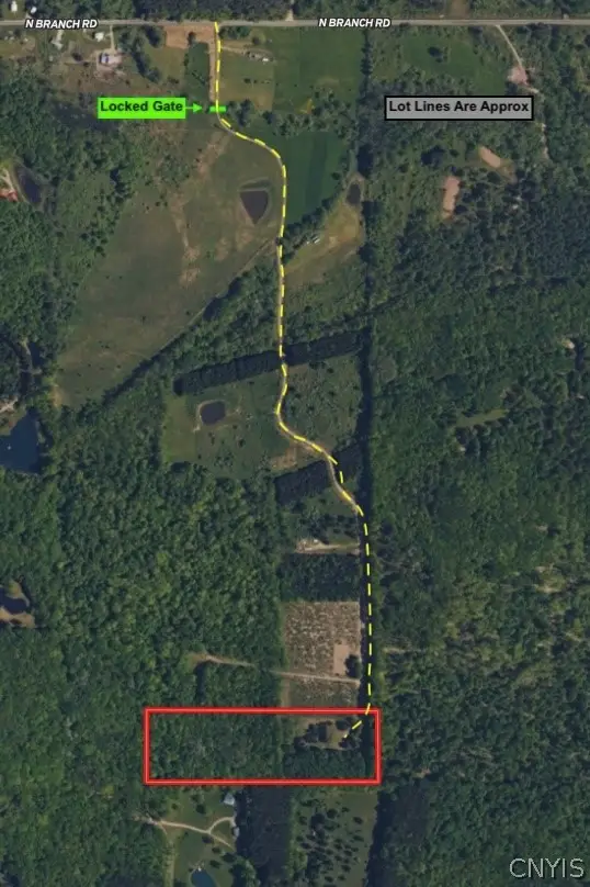 N Branch Road, Friendship, NY 14739 - #3