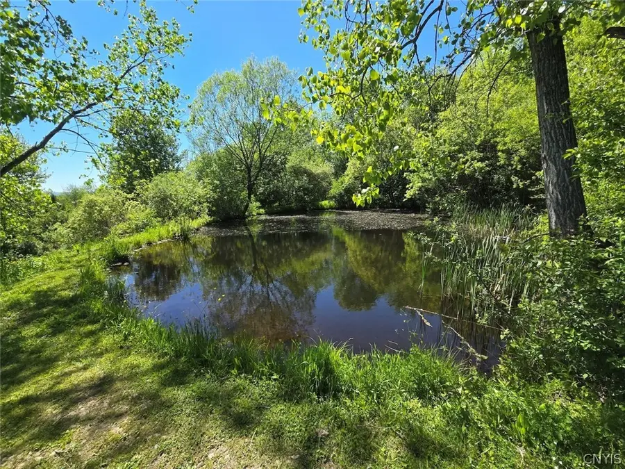 6303 Gleason Hill Road, Belfast, NY 14711 - #2