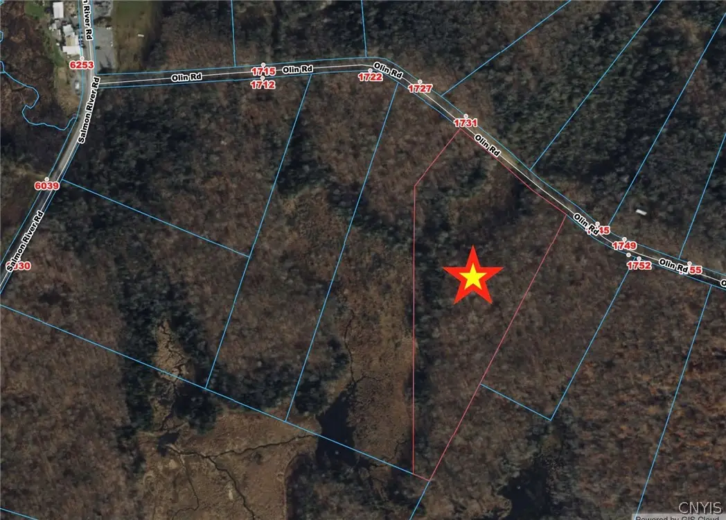 Olin Road, Lowville, NY 13367 - #1