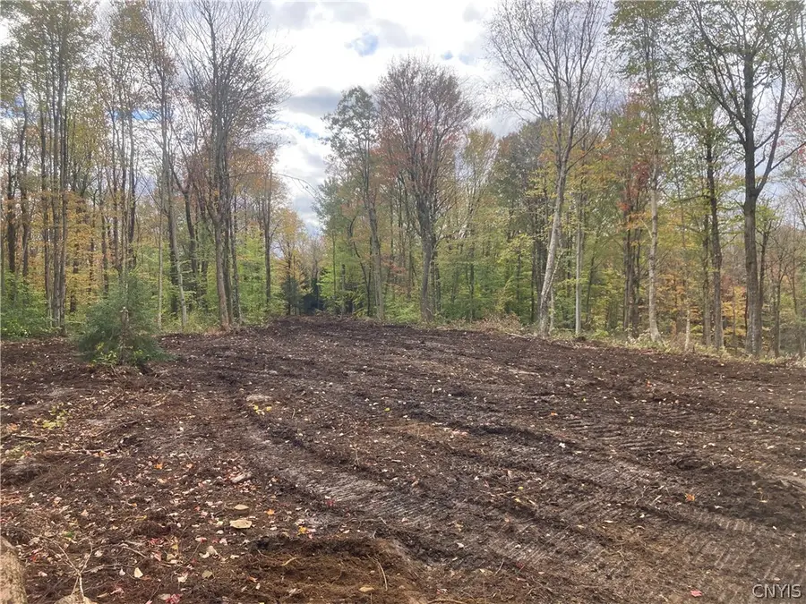 Olin Road, Lowville, NY 13367 - #2