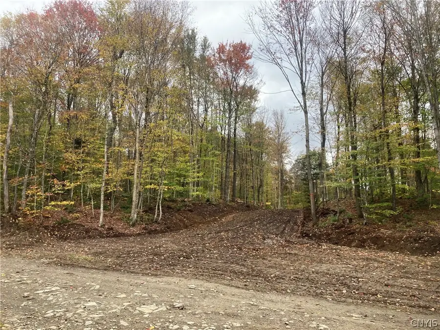Olin Road, Lowville, NY 13367 - #3