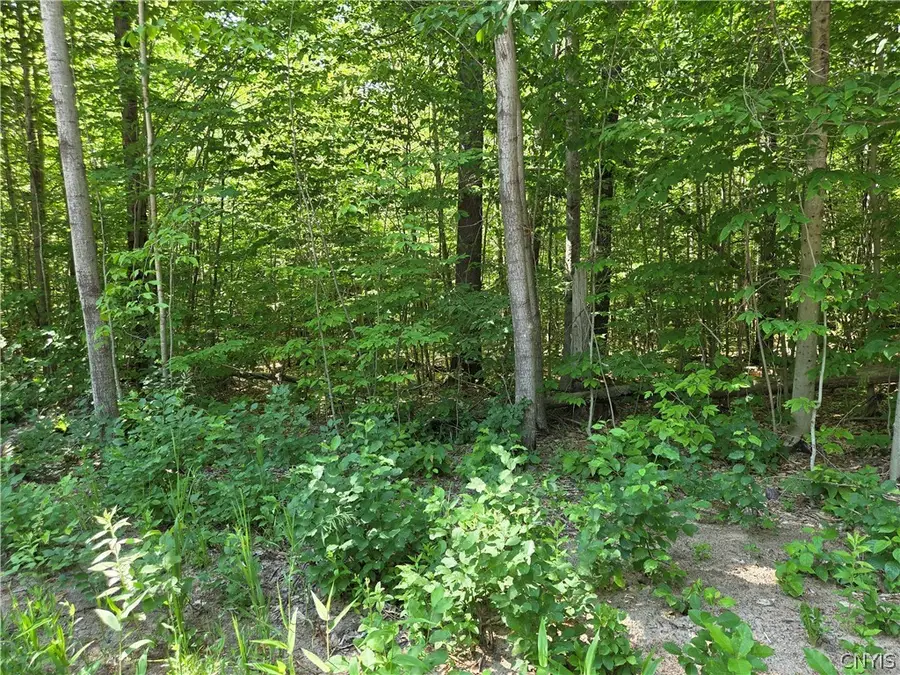 7399 Pennysettlement Road, Lyons Falls, NY 13368 - #2