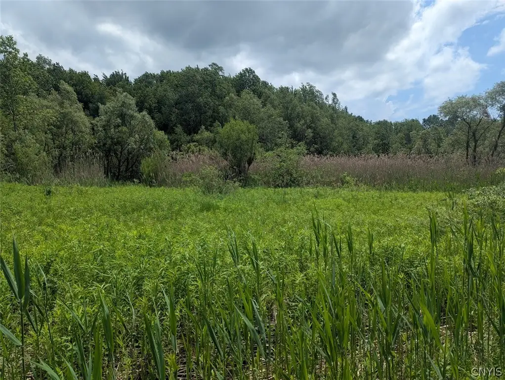 0 Tannery Road, Rome, NY 13440 - #1