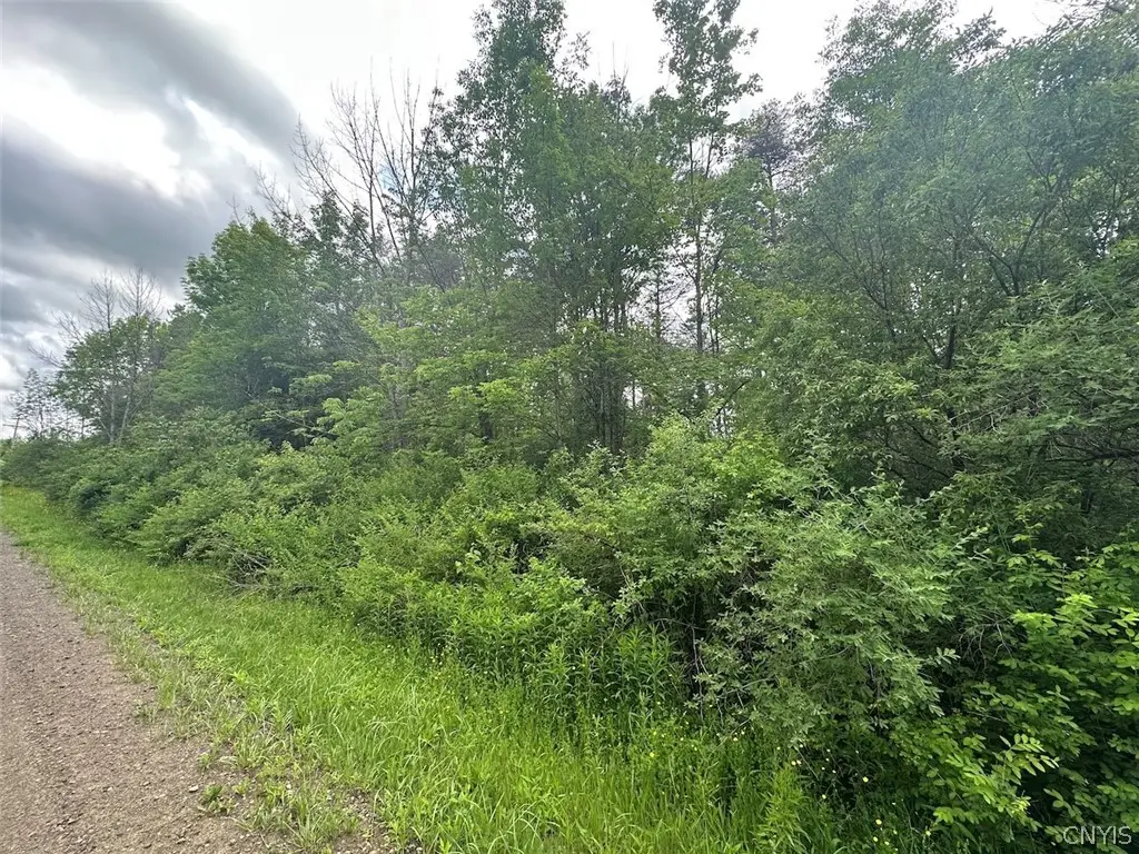 Townline Road, Angelica, NY 14709 - #1