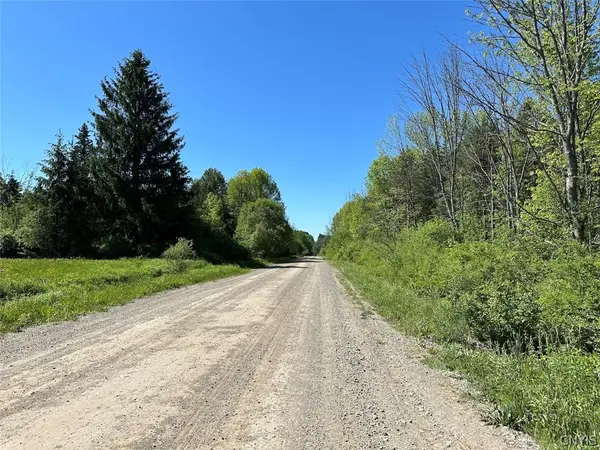 Townline Road, Angelica, NY 14709