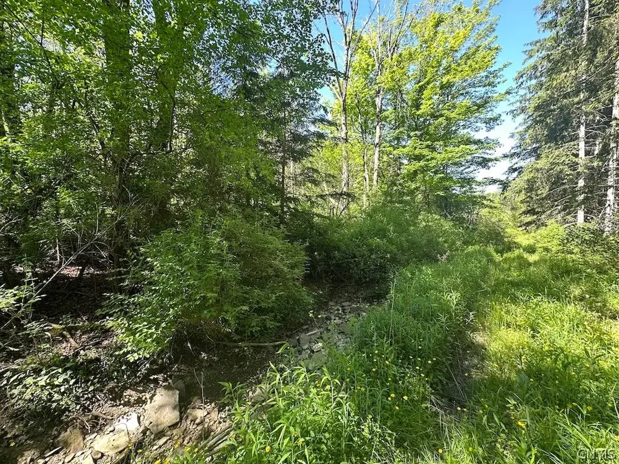 Townline Road, Angelica, NY 14709 - #2