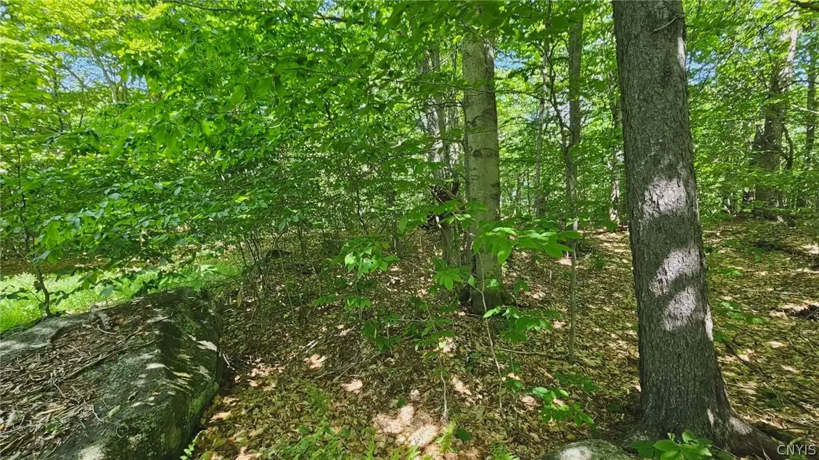 Summit Place, Old Forge, NY 13420 - #1