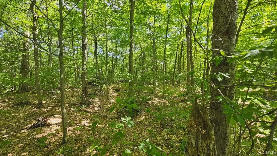 Summit Place, Old Forge, NY 13420 - #3
