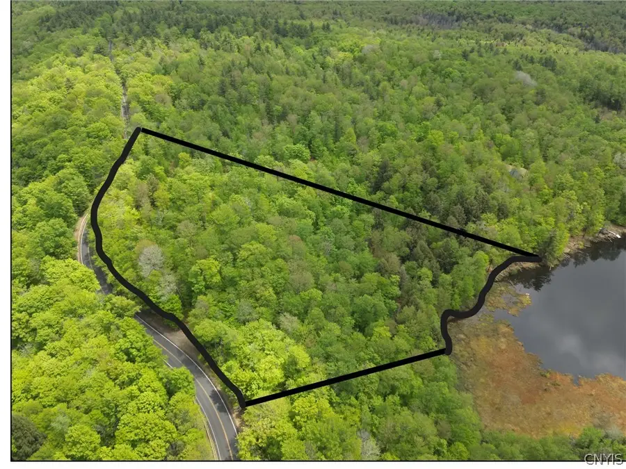 00 Hawkinsville Road, Forestport, NY 13338 - #2