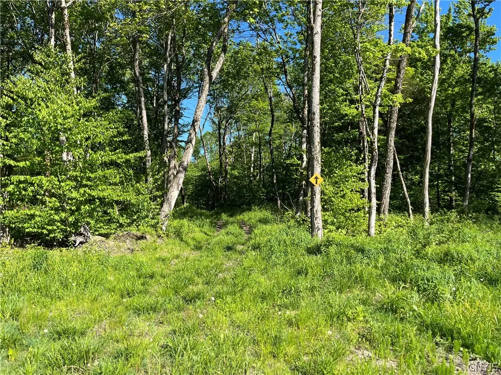 0 Co Rt 17, Redfield, NY 13437 - #1
