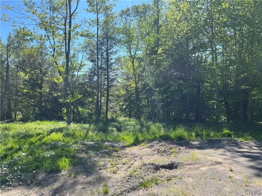 0 Co Rt 17, Redfield, NY 13437 - #3
