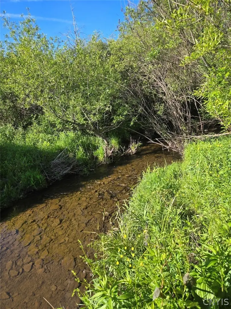 Hermitage Road, Warsaw, NY 14569 - #3