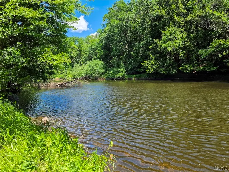 Creekview-off Drive, Blossvale, NY 13308 - #2