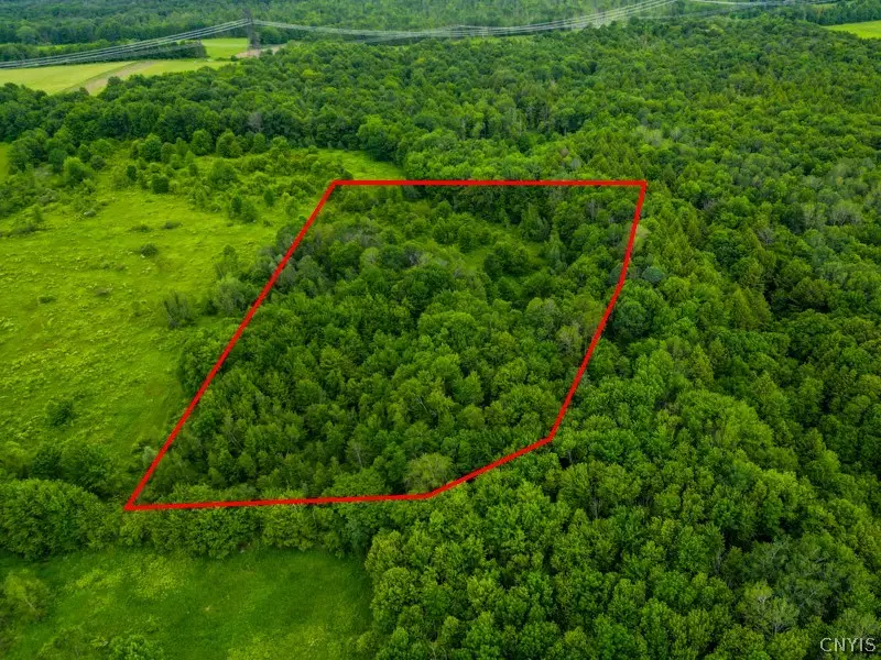 8031 Benson Road, Holland Patent, NY 13354 - #3