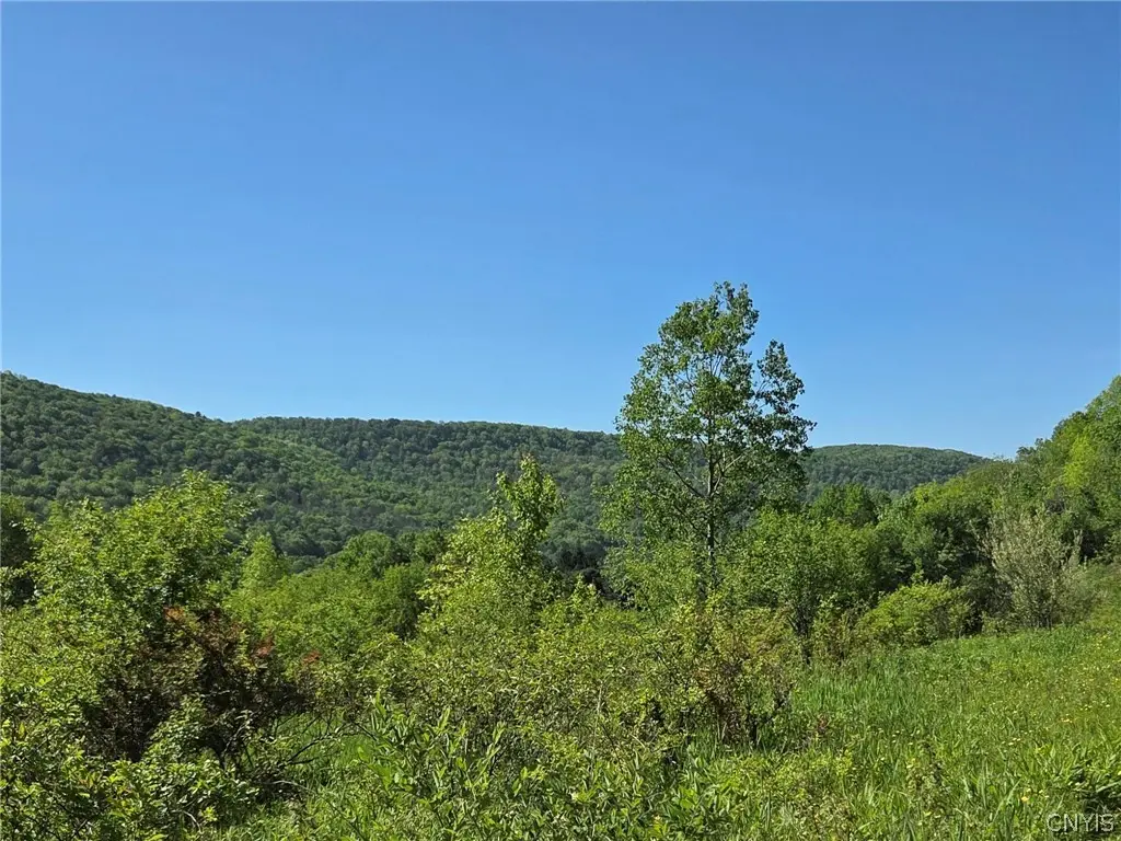 Nys Route 446, Cuba, NY 14727 - #1