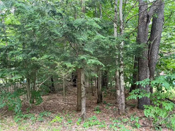 Pine Cone Lane, Glenfield, NY 13343