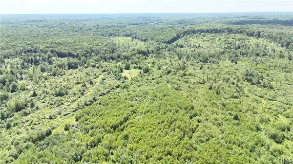 S Albion, Albion, NY 13062