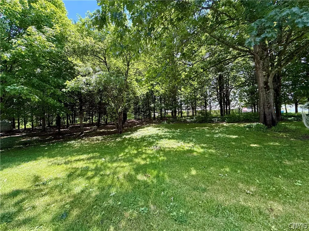 Vida Drive, Williamstown, NY 13493 - #1