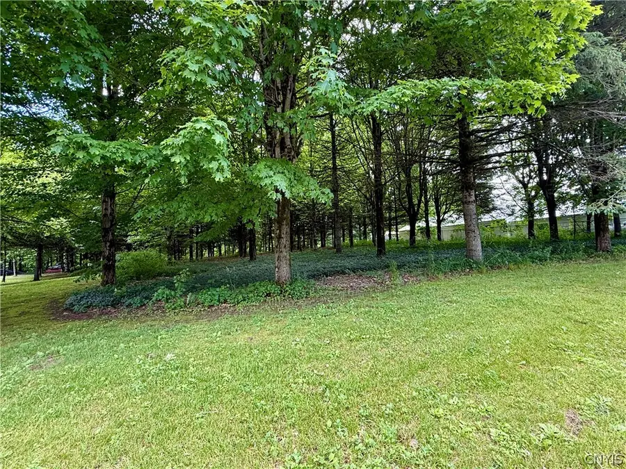 Vida Drive, Williamstown, NY 13493 - #2