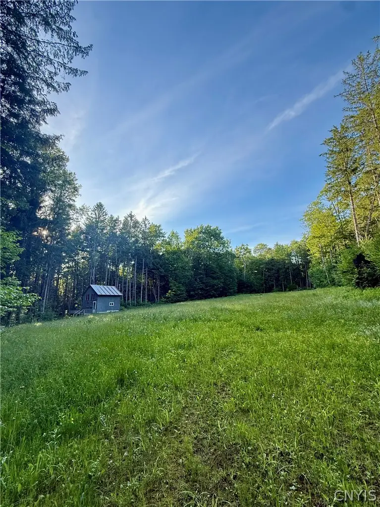 9191 Furman Mills Road, West Edmeston, NY 13485 - #3