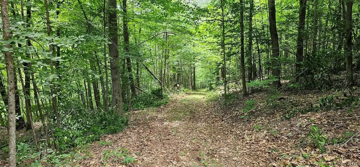 Cr-16, Beaver Dams, NY 14812 - #1