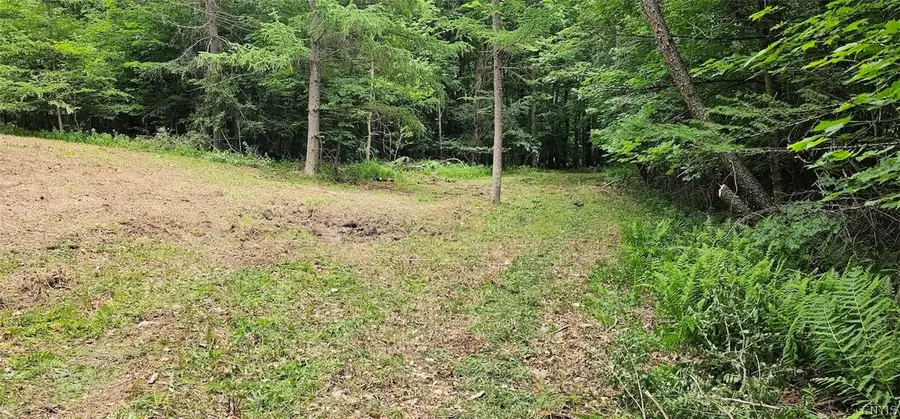 Cr-16, Beaver Dams, NY 14812 - #2