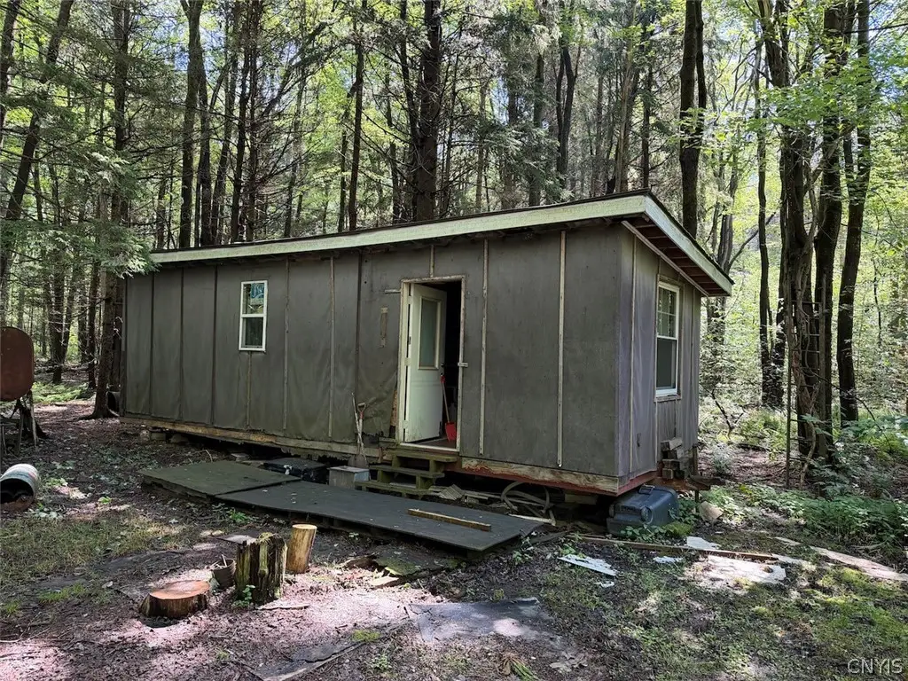 Peet Hill Road, Franklinville, NY 14737 - #1