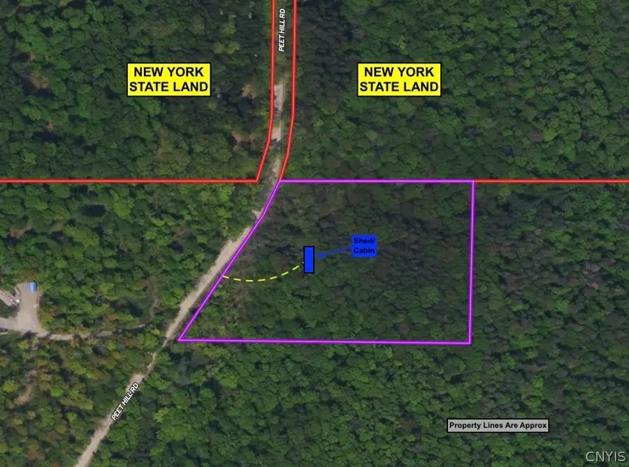 Peet Hill Road, Franklinville, NY 14737 - #2