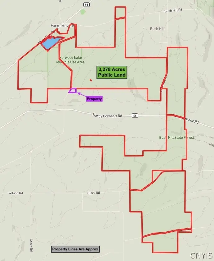 Peet Hill Road, Franklinville, NY 14737 - #3