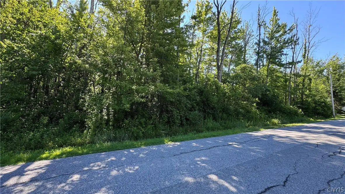 Lewis Point Road, Canastota, NY 13032 - #1