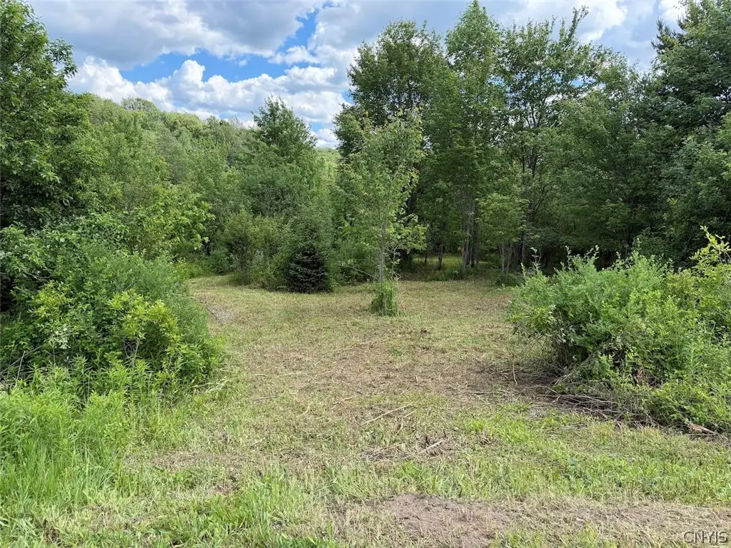Reynolds Road, Franklinville, NY 14737 - #1