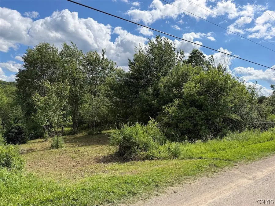 Reynolds Road, Franklinville, NY 14737 - #3