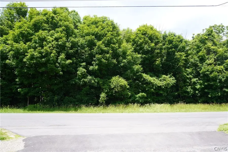 Lot 10 Middle Road, Oswego, NY 13126 - #2