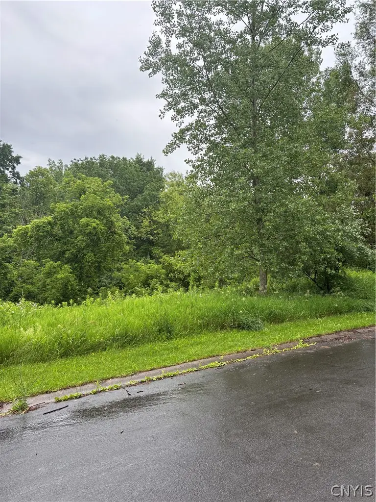 7985 Everglades Drive, Manlius, NY 13104 - #1