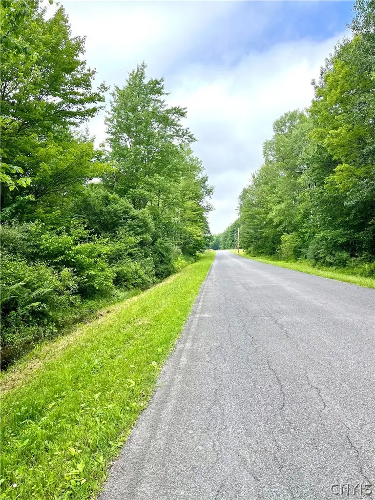 13657 Mc Gibbon Road, Sterling, NY 13156 - #2