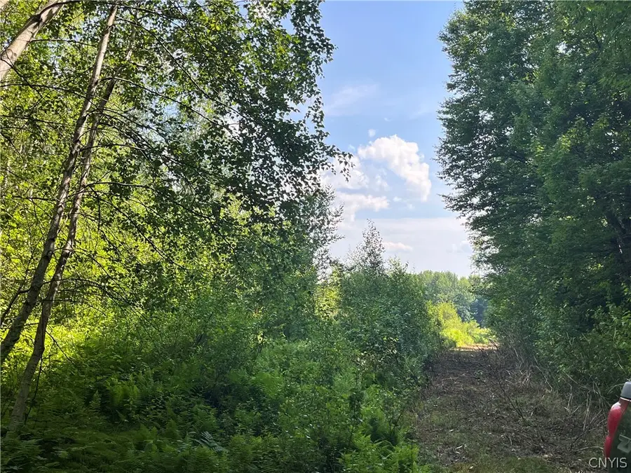 Center Road, Lacona, NY 13083 - #3