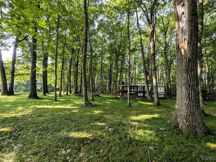 8880 Hemlock Road, Avoca, NY 14809 - #2