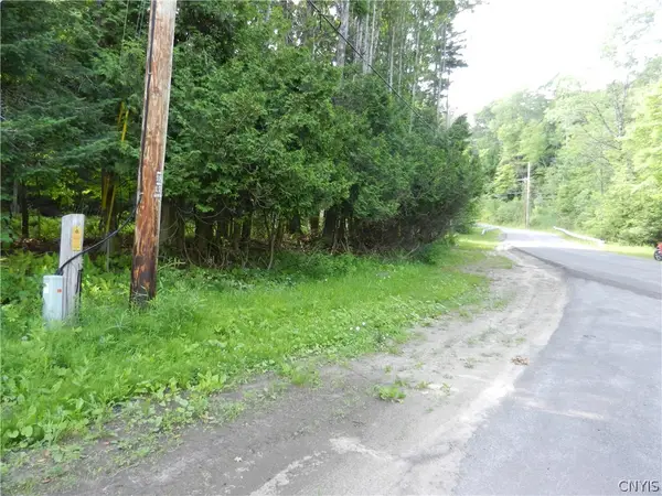00 Bingham Mills Rd, Stafford, NY 13470