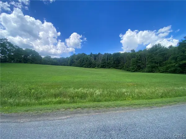 Holmesville Road, New Berlin, NY 13843
