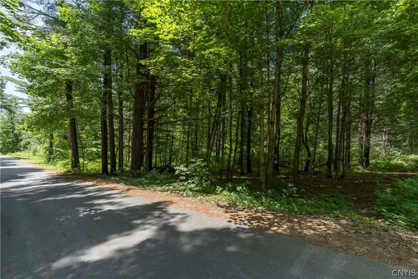 Split Rock Road, Hammond, NY 13646