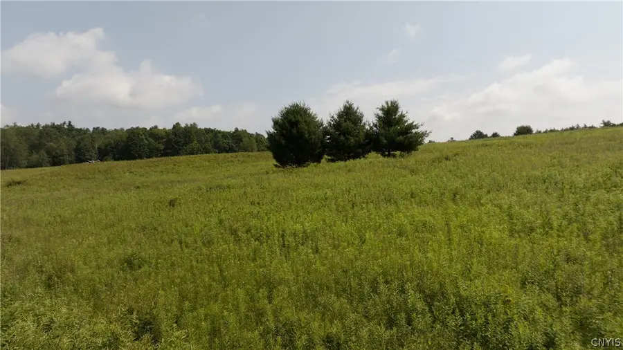 137 Windham Road, Greene, NY 13778 - #3