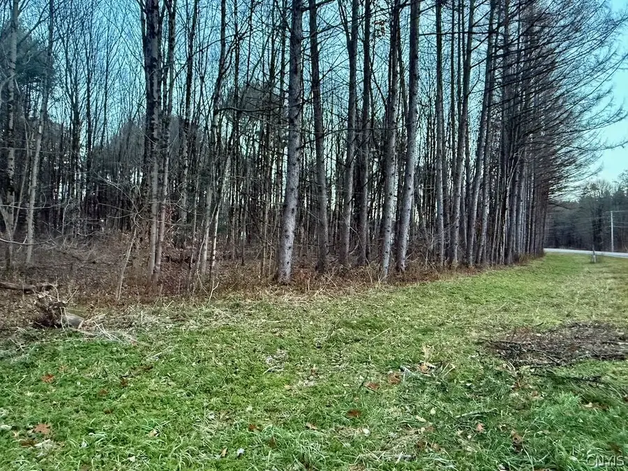 Cr-48, Albion, NY 13302 - #3