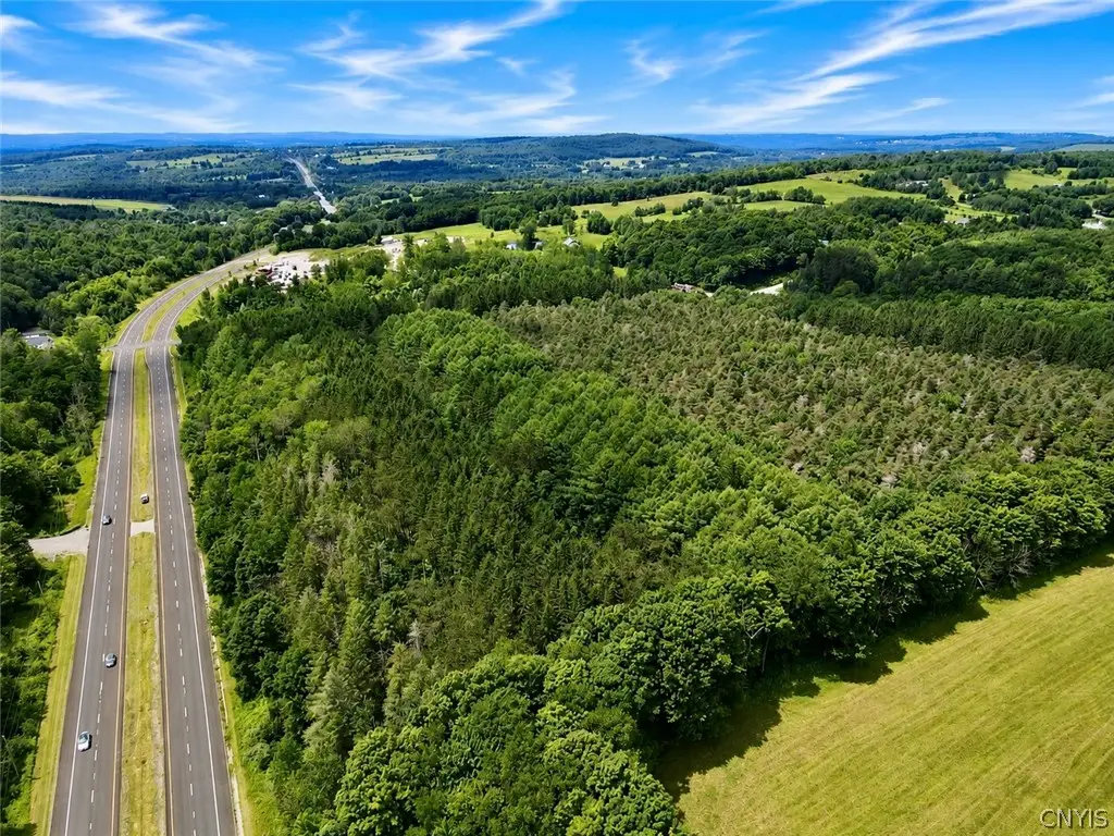 Rte 20 East Road, Cazenovia, NY 13035 - #1
