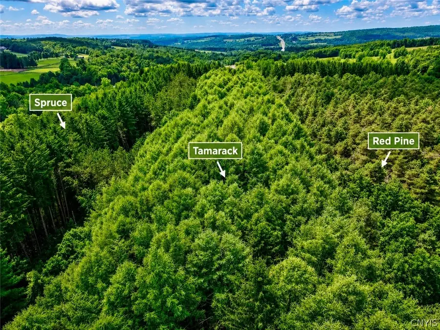 Rte 20 East Road, Cazenovia, NY 13035 - #3